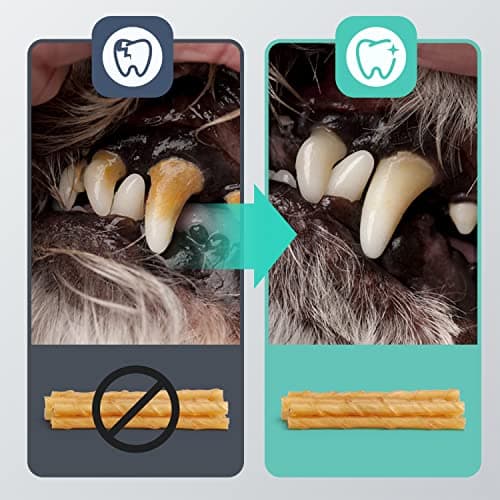 Nobleza - Friandises pour Chien, 120 Pièces bâtonnets à mâcher Chien, 125mm x 10mm, Stick Dentaire, Riche en protéines, pauvre en matières Grasses, 6 sachets de 20 Sticks