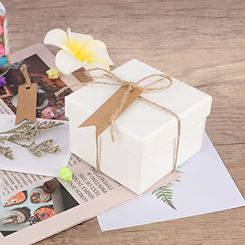 G2PLUS 100PCS Étiquettes Kraft,Étiquette Cadeaux,7x2cm Kraft Étiquettes - Étiquettes Vierges pour Mariage,Anniversaire,Noël- Avec 20M de Ficelle de Jute (Marron)