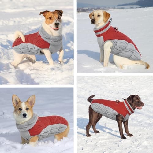 Hjumarayan Manteau Chien - Manteau Chien avec Harnais Réfléchissant Manteaux d'hiver pour Chiens Manteau Chien Imperméable, Manteau Chien Petite Taille Manteau Bouledogue Francais - Rouge M