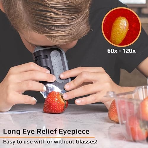 Carson MicroBrite Plus 60-120x microscope de poche éclairé par LED pour enfants, microscope portable, mini microscope pour étudiants en laboratoire scientifique, microscope éducatif pour STEM (MM-300)