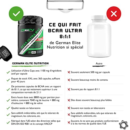 BCAA Ultra Caps - 365 gélules avec un dosage élevé de 1100 mg par gélule - Premium : rapport puissant 8:1:1 - Leucine, L-Isoleucine, L-Valine - Acides aminés essentiels à chaîne ramifiée
