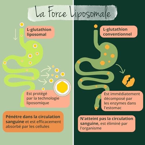 GLUTATHION Liposomal & Réduit PureWayTM- G | Avec Précurseurs : NAC, Vitamine C, MSM, Glycine | Antioxydant + Anti age + Immunité | 90 Gélules | Vegan & Sans Additifs | Vegavero®
