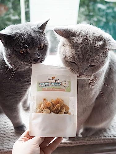 I Love My Cat Freeze-Snack pour Les Chats, des Filets de Saumon (lyophilisés) de 25 g, des friandises saines pour Les Chats, sans additifs artificiels