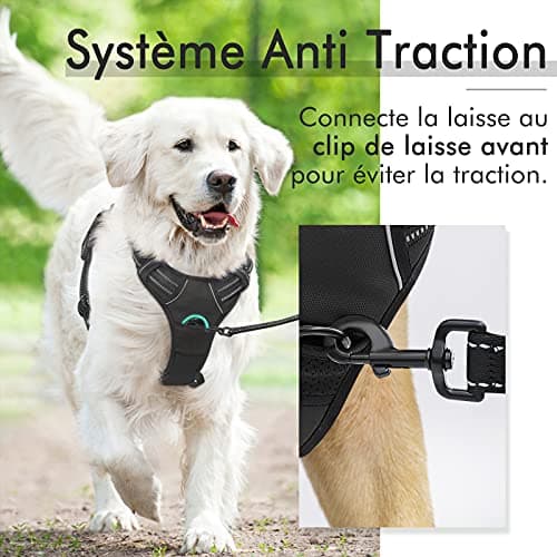 rabbitgoo Harnais Chien Anti Traction, Arnet pour Chien Facile à Mettre Harnais Réfléchissant Réglable avec Attache Devant Harnais pour Chien Moyen, Large, Couleur Noir