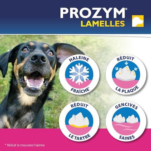 PROZYM Pack 2x15 Lamelles pour Chiens - Soin Dentaire à mâcher - N°1 chez Les vétérinaires - Haleine fraîche - Anti-tartre - Anti-Plaque - Gencives saines - 30 Lamelles (L)