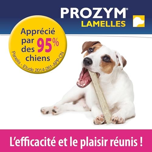 PROZYM Pack 2x15 Lamelles pour Chiens - Soin Dentaire à mâcher - N°1 chez Les vétérinaires - Haleine fraîche - Anti-tartre - Anti-Plaque - Gencives saines - 30 Lamelles (L)
