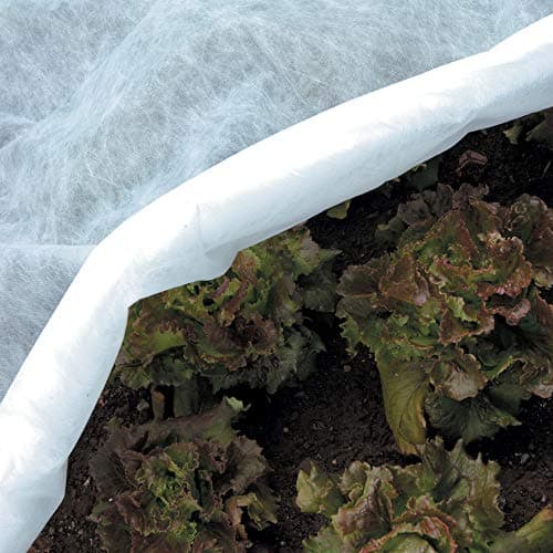 TENAX Ortoclima Plus 2,40x10 m Blanc, Voile d'Hivernage pour Plantes et Cultures, en Tissu Non Tissé 30 g/m2, Protège les Plantes, Fleurs et Légumes du Froid, du Gel et du Vent