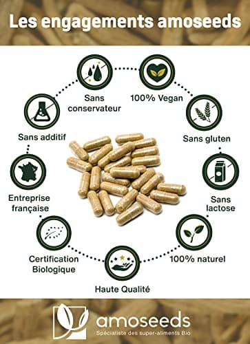Ashwagandha BIO Breveté KSM-66TM | Extra Fort : 5% withanolides | Stress, Sommeil, Énergie, Bien-Être | 60 gélules vegan de 500mg | Qualité Supérieure