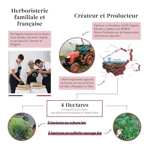 MY ORGANIC INFUSION - Vigne Rouge BIO en feuilles coupées - Pour Tisanes circulatoire et Infusions Bien-Être - Pour Recettes Maisons - Sélection De Premier Choix - Vitis Vinifera - 50 g