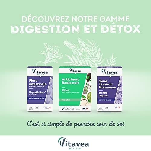 VITAVEA BIEN-ETRE - Détox Globale Bio - Complexe 5 Plantes Bio - Élimination Dépuratif -20 Gélules Végétales - Fabriqué en France