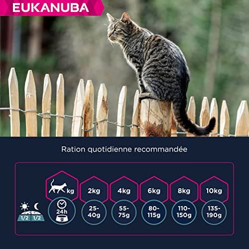 EUKANUBA - Croquettes Premium pour Chat Adulte - Alimentation 100% Complète et Equilibrée - Riche en Riz – Au Poulet Frais – Sans OGM, Sans Blé - Sac refermable – 10kg