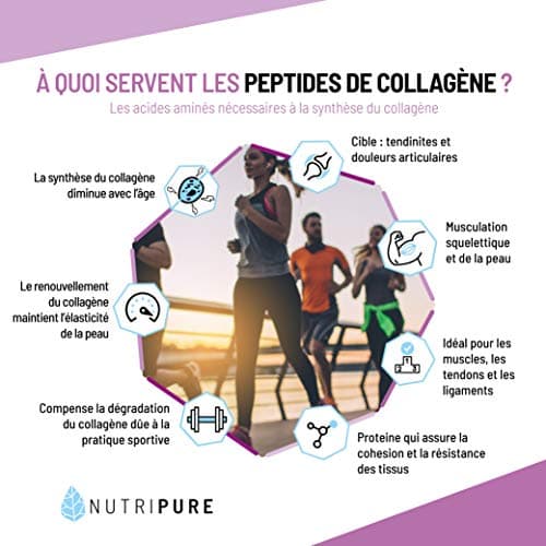 Nutripure | Pack Peptides de Collagène Peptan + Citron Vert - Mangue | Sans Edulcorants | Complément Alimentaire Sport | Collagène, Acides Aminés | Sachet 310g | 15 à 30 portions | Fabriqué in France