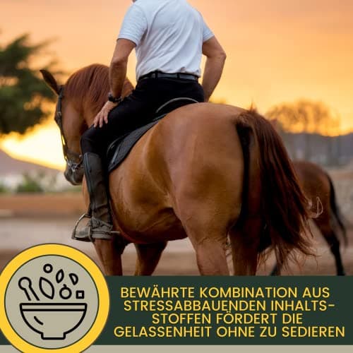 Magnésium Cheval Poudre - Calm Horse Relax Anti-Stress pour Calmer l'agitation I L-tryptophane Vitamine E - Magnésium pour Chevaux à Haute Dose Contre l'anxiété & Stress sérénité Cheval nerveux 1Kg