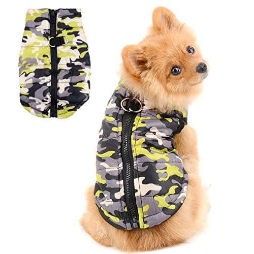 PAIDEFUL Manteau rembourré imperméable pour petit chien avec anneau en D pour chihuahua Yorkshire