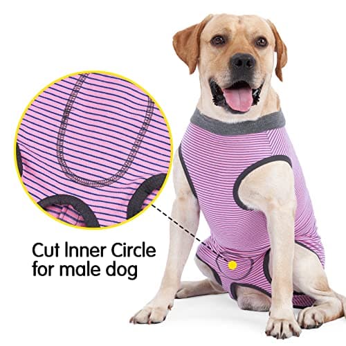 HEYWEAN Body Chien Post operatoire Femelle Combinaison Chien sterilisation Body pour Chien Castration Male Body Medical Déguisements pour Chiens alternatives aux Collerettes pour Chiens