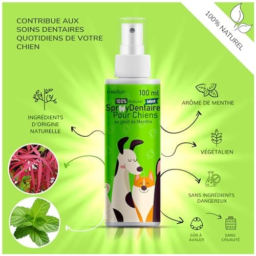 Moofurr Dentifrice Chien Spray 100ml - pour Le Detartrage Dentaire des Chiens, Anti-Tartre Dentaire, Rafraichissant pour la Mauvaise Haleine du Chien - Hygiene et Sante Naturelle du Chien a la Menthe