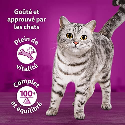 WHISKAS Repas pour Chat - 84 Sachets Fraîcheur de 85g - Pâtée pour Chat Adulte en Gelée - Duo Terre & Mer (4 Variétés) - Nourriture Humide Complète & Equilibrée, 84x85g