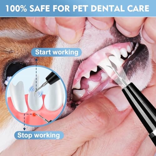 Ciphuoly Detartreur Dentaire Ultrason pour Chien et Chat - Kit Detartrage Dentaire Professionnel, Étanche IPX6, Anti Tartre Chien & Mauvaise Haleine, Nettoyage Sûr des Gencives