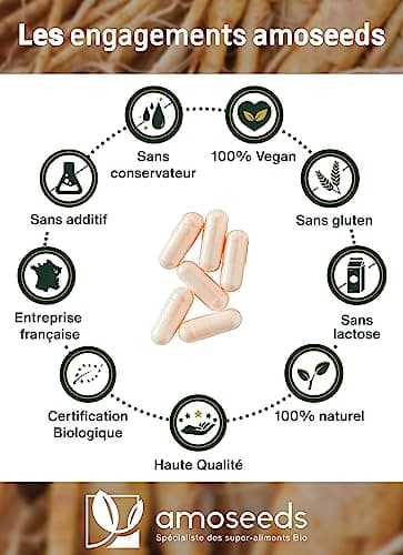 Panax Ginseng Rouge BIO de Corée | Extra Fort 900mg / jour | Énergie, Vigueur, Anti-stress, Concentration | 90 gélules de 300mg | Qualité Supérieure