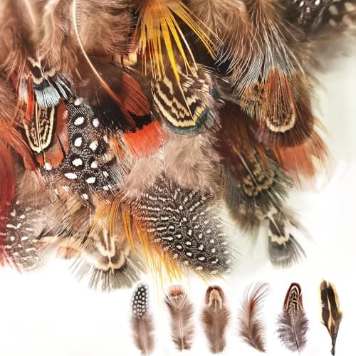 LURNODY 50 Pièces Plumes D'Artisanat Plume Decoration Plumes de Dinde Naturelles Plumes de Bricolage, pour Les Projets de Bricolage, Les Décorations de Vacances,DéCoration d'halloween