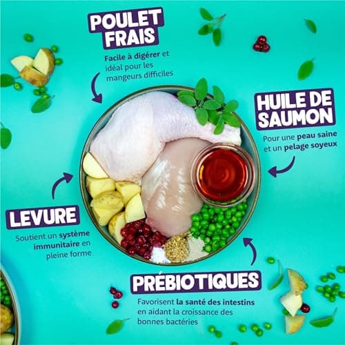 Edgard & Cooper Croquettes Chat Stérilisé, Adulte, (Poulet, 2kg), Viande fraîche et protéines de qualité, Vrais ingrédients pour chat, croquettes pour chat stérilisé et actif