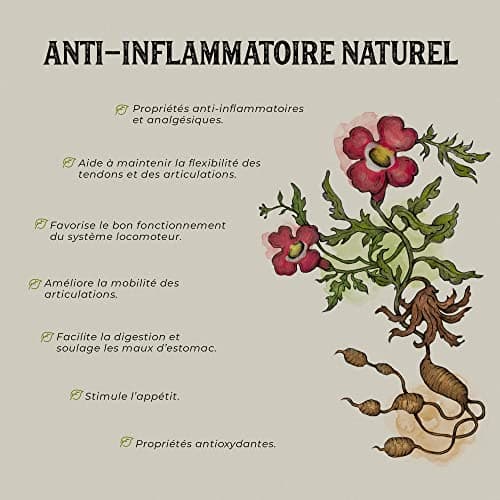 Harpagophytum bio * Plantae * 60 gélules végétales * Anti-inflammatoire naturel + Santé articulaire + Système digestif *