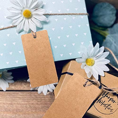 jijAcraft Étiquettes Papier Kraft Etiquette Cadeaux Rectangulaire 9x4,5cm, 100 pièces et Ficelle de Jute, pour Mariage Noël Anniversaire Artisanat (marron)