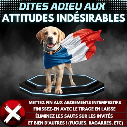 PAWPRO Collier de Dressage, Portée de 3km, Mode Lumière Nocturne, Guide de Dressage Inclus, 124 Niveaux d’Entraînement, BIP Vibration Choc, Adapté à Tous Les Chiens, Étanche Rechargeable, Marque FR