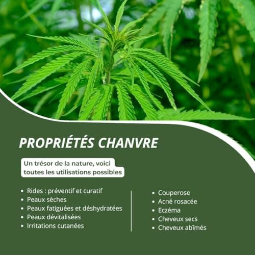 HUILE DE CHANVRE 100% BIO NATUROLEUM, pressée à froid, Pure et Naturelle - Extra Vierge - Soin nourrissant pour Cheveux et Peau (100 ml)