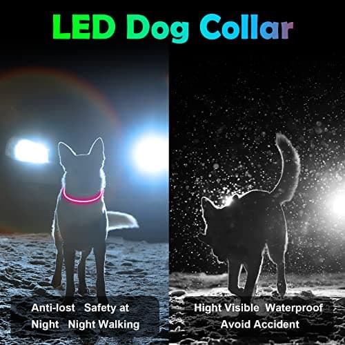 AUAUY Collier Lumineux LED pour Animaux, Rechargeable USB, Découpable, Imperméable, Réglable, pour Petits, Moyens et Grands Chat et Chien (Rose)