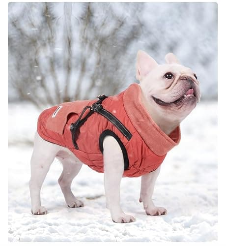 Manteaux Chauds pour Chiens Amélioration de la Veste pour Chien pour l'hiver et Le Froid Manteau pour Chien Confortable et Coupe-Vent avec Poche Vêtements pour Chien avec Harnais (Rouge, XL)