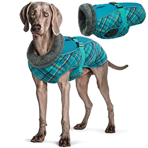 Manteau d'hiver pour Chien, Veste ImperméAble pour Chien, Veste d'hiver Chaude avec Doublure en Polaire, Manteau RéFlecteur Ajustable Et Confortable avec Trou pour Harnais pour Petits Et Moyens Chien