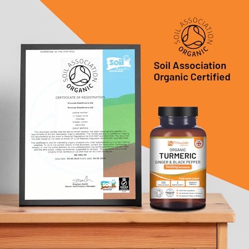 Curcumine au curcuma 1440 mg avec poivre noir et gingembre I 120 capsules de curcuma végétalien haute résistance (2 mois d'approvisionnement) I Fabriqué au Royaume-Uni par Prowise Healthcare