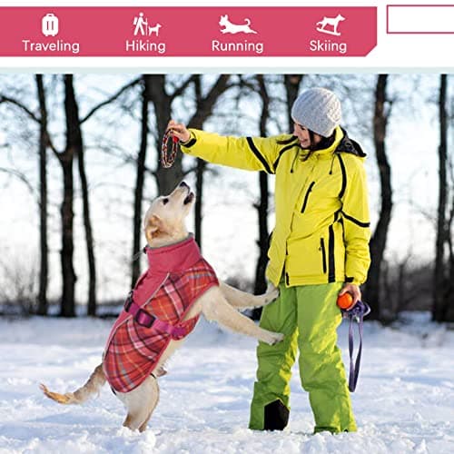 Manteau d'hiver pour Chien, Veste ImperméAble pour Chien, Veste d'hiver Chaude avec Doublure en Polaire, Manteau RéFlecteur Ajustable Et Confortable avec Trou pour Harnais pour Petits Et Moyens Chien