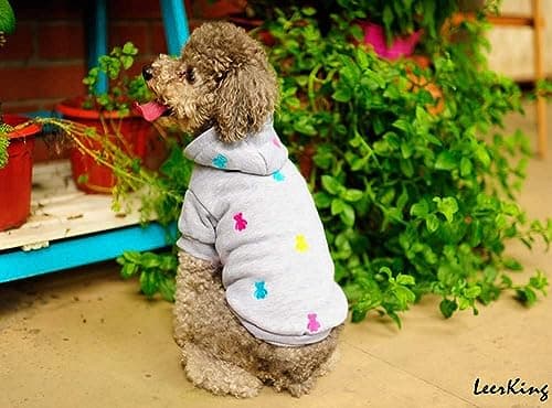 LeerKing Sweats à Capuche pour Chien Chaud Sweatshirt en Coton Chiot Vêtement pour Moyen Petit Chien Chat Gris XXS