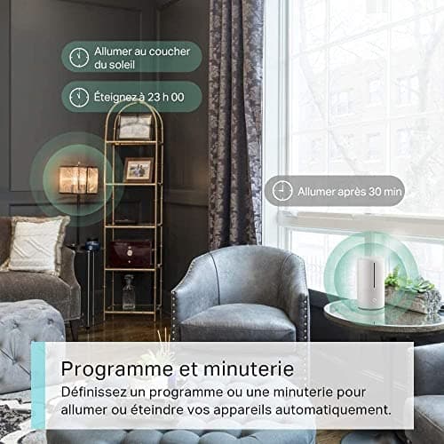 Tapo Prise Connectée WiFi, Prise Intelligente compatible avec Alexa et Google Home, 10A Type E, Contrôler le radiateur, la cafetière, la lampe à distance, aucun hub requis, Tapo P100(FR) 1 Pack