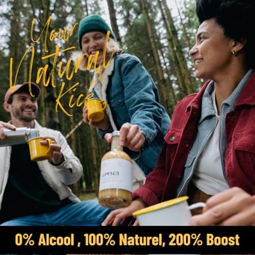 GIMBER Concentré de gingembre bio 3x700 ml (2,1L) | Boisson sans alcool 100% biologique à base de gingembre, citron et épices | Jus de gingembre Premium