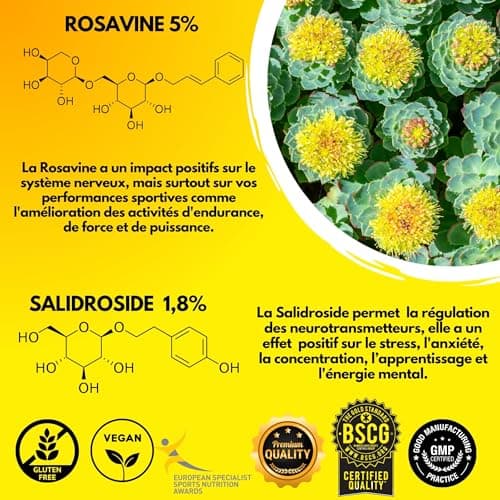 RHODIOLA ROSEA | 2X Plus D'actif | 5% Rosavine + 1,8% Salidroside | Qualité Unique Rhodiolife® | Performance | Adaptogène | Bien être Psychologique | Anti-stress |