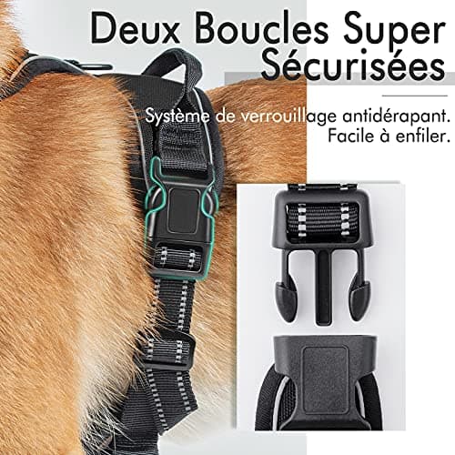 rabbitgoo Harnais Chien Anti Traction, Arnet pour Chien Facile à Mettre Harnais Réfléchissant Réglable avec Attache Devant Harnais pour Chien Moyen, Large, Couleur Noir