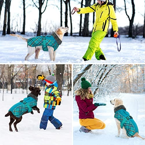 Manteau d'hiver pour Chien, Veste ImperméAble pour Chien, Veste d'hiver Chaude avec Doublure en Polaire, Manteau RéFlecteur Ajustable Et Confortable avec Trou pour Harnais pour Petits Et Moyens Chien