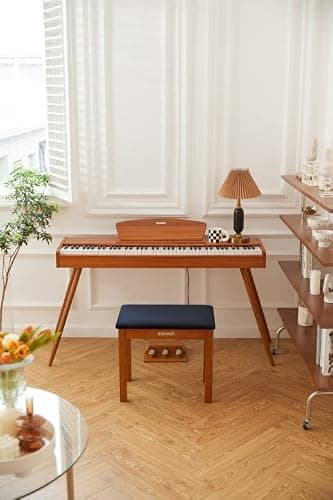 Donner Banc de Piano avec Rangement, Banc de Piano en Bois Massif avec Coussin en Daim Haute densité, Finition Bois