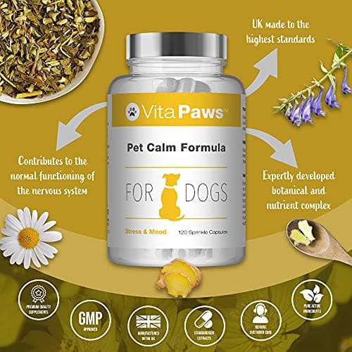 Formule Calmante pour Chien | Formule Naturel avec des extraits de Gingembre & Camomille | 120 Gélules |SimplySupplements