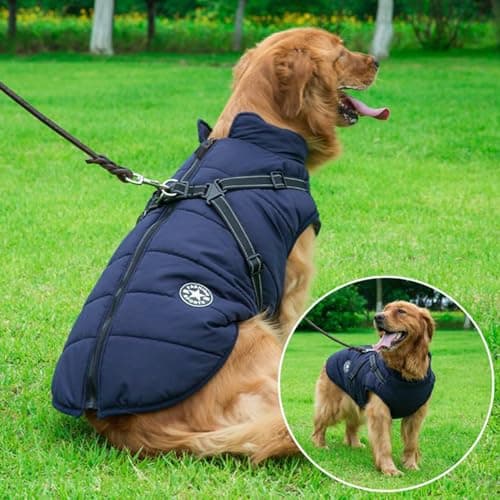 Aiboria Manteau d'hiver pour Chien Coupe-Vent Imperméable 2 en 1 Chiot Petit Gilet avec Harnais Veste Chaud Rembourré pour Chien Manteaux Imperméables pour Chiens Vêtements d'hiver pour Chiens