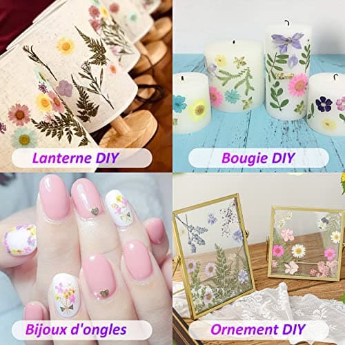 VEGCOO 110 Pièces Fleurs Séchées, Ensemble de Fleurs Séchées Naturelles Bricolage, Fleurs Naturelles Multicolores Pressées pour Bricolage Résine Bijoux Maquillage Habiller Nail Art Décorations