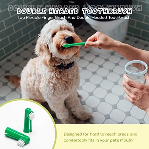 Nobleza - Set Brosse à Dents Et Dentifrice pour Chien, Kit Dentifrice Chien Anti Tartre, Les Chiens Améliore l'hygiène buccale Contient 1 Tubes x 73 g, 1 Brosse à Dents à Double Extrémité, 2 Doigtier