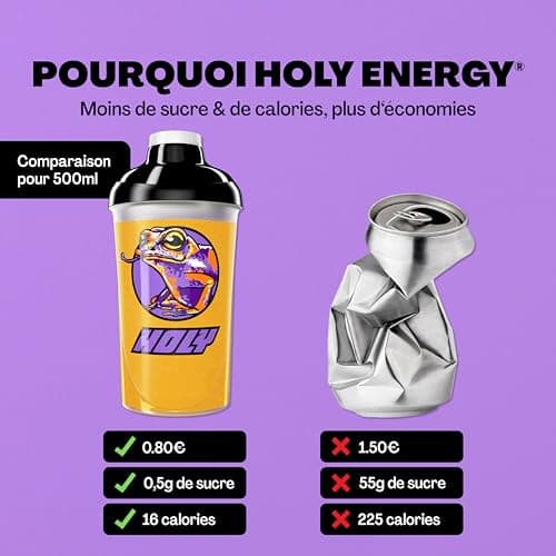 HOLY Energy Gaming Booster 'Fruity Frog' à la mangue, au fruit de la passion & à l'ananas en poudre| 50 portions avec NewCaff & extrait de thé vert | Vegan avec arômes de fruits 100% naturels