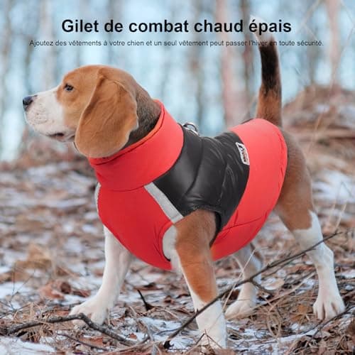 Manteau d'hiver pour Chien pour Veste Chaud des Chiens pour Chien Pet Chiot vêtements Imperméables Assortis Tailles et Couleur (S, B-Rouge)