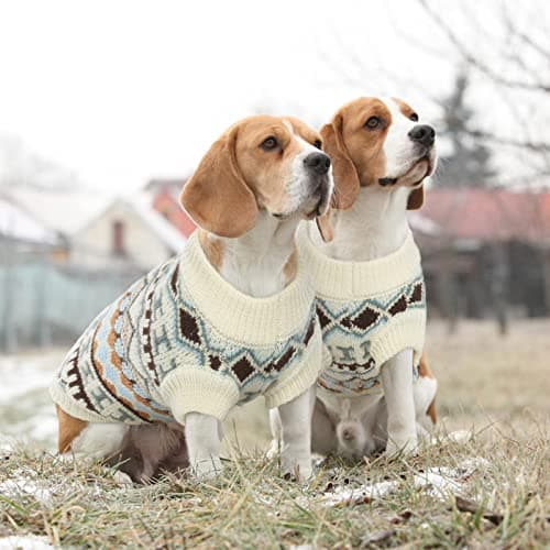 Hjumarayan Pull Chien Petite Taille - Pull pour Chien Stretch Sweat Chien avec Col Rond, Finition Bord Côtes, Pull-Overs Chaud pour Chiens Pull Polaire Chien pour Automne Hiver (Beige L)