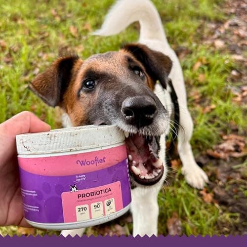 Woofies Probiotiques Friandises digestives pour Chiens - 90 pièces - Renforce la Flore intestinale et améliore Le système immunitaire - Ingrédients 100% naturels Prébiotiques (Poulet)
