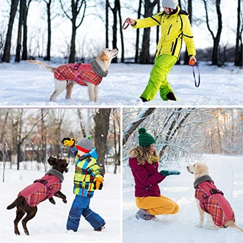 Manteau d'hiver pour Chien, Veste ImperméAble pour Chien, Veste d'hiver Chaude avec Doublure en Polaire, Manteau RéFlecteur Ajustable Et Confortable avec Trou pour Harnais pour Petits Et Moyens Chien